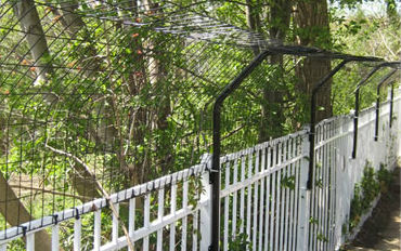 Fence With Top extension